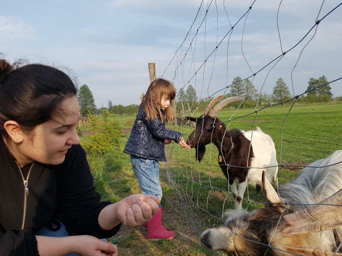 Gospodarstwo "Na Legach" Lubcz Maly Eksteriør billede